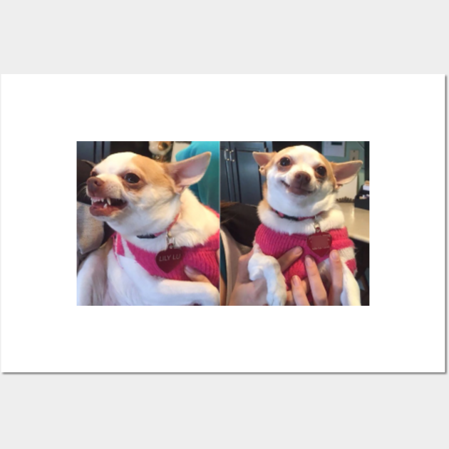 Lily Lu Meme Lily Lu Meme Posters and Art Prints TeePublic